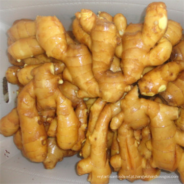 New Crop Fresh Ginger 2015 para Venda